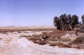 بئر العيينة وجانب من الموقع