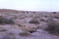بئر المراغى