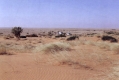 جانب من روضة التوضحية التي يقع فيها المشاش