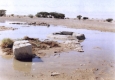 منظرمن موقع يبرين